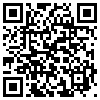 QR Code Handyversion