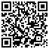 QR Code Handyversion