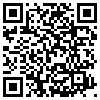 QR Code Handyversion