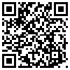 QR Code Handyversion