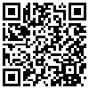 QR Code Handyversion