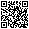 QR Code Handyversion