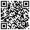 QR Code Handyversion