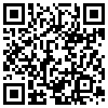 QR Code Handyversion