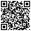 QR Code Handyversion