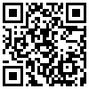 QR Code Handyversion