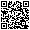 QR Code Handyversion