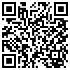 QR Code Handyversion