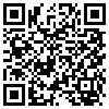 QR Code Handyversion