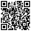 QR Code Handyversion