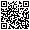 QR Code Handyversion