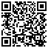 QR Code Handyversion