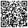 QR Code Handyversion