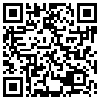 QR Code Handyversion