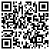 QR Code Handyversion