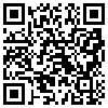 QR Code Handyversion