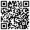 QR Code Handyversion