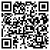 QR Code Handyversion