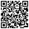 QR Code Handyversion