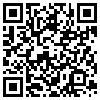 QR Code Handyversion