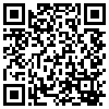 QR Code Handyversion