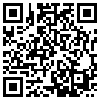 QR Code Handyversion