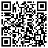 QR Code Handyversion