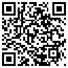 QR Code Handyversion