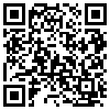 QR Code Handyversion