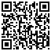 QR Code Handyversion