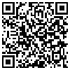 QR Code Handyversion