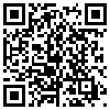 QR Code Handyversion