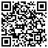 QR Code Handyversion