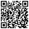 QR Code Handyversion