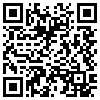 QR Code Handyversion