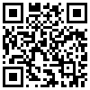 QR Code Handyversion