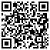 QR Code Handyversion