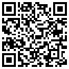 QR Code Handyversion