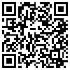 QR Code Handyversion