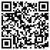 QR Code Handyversion