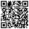 QR Code Handyversion