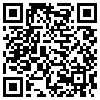 QR Code Handyversion