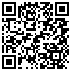 QR Code Handyversion