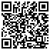 QR Code Handyversion