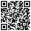 QR Code Handyversion