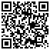 QR Code Handyversion