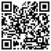 QR Code Handyversion