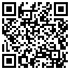 QR Code Handyversion