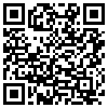 QR Code Handyversion