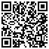 QR Code Handyversion